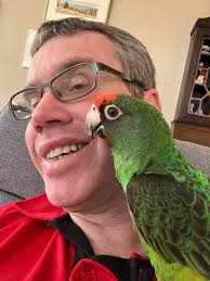 Toronto Blue Jays Die-Hard Fan Inspires The Team With Her Cheeky Mirror  Selfie Ahead Of ALCS Game 1 [PHOTO] Full story via 🔗 in comments. 👇