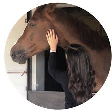 افـتار بنـات horse girl photography photo ideas girl cute selfie ideas