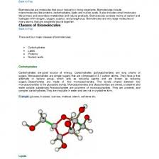 Biomolecules Chart D49oqz5qm049