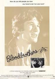A young boy witnesses a crime that forces him to choose between right and wrong. Bloodbrothers 1978 Film Wikipedia
