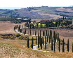 Immagine di Val d'Orcia in autunno
