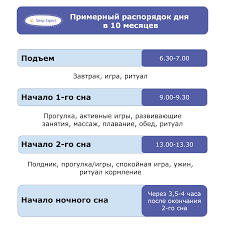 Rezhim Dnya Rebenka V 10 Mesyacev Vazhnoe O Sne I Razvitii