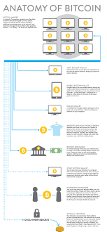 With our wallet checker you can also download and review the most recent transaction times, amount sent and wallet balance over time. Anatomy Of Bitcoin Infographic Blockchainhub