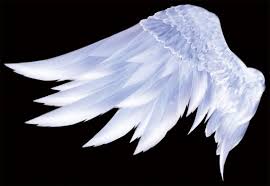 5 out of 5 stars. Angel Wings Pictures Free Psd Download 17 Free Psd For Commercial Use Format Psd