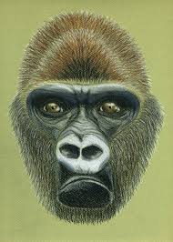 Pin On Nature Inspired Art