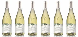 Risultati immagini per logo tenuta del cerro