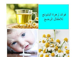 فوائد زهرة البابونج للاطفال الرضع Blog Posts Food Blog