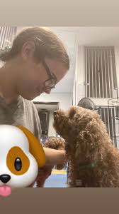 Hello all! It is about to my birthday, and I am wanting to get myself a  little puppy that will stay small. This baby will be a esa pet, as I have