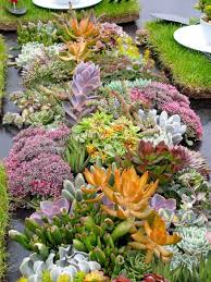 Pin By Sarah On Photos In 2018 Pinterest Bedroom Room And Room Decor Suculentas Jardin Jardines Jardin De Cactus De Exterior