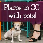 Places kansas city, missouri kc pet project. Local Animal Shelters Rescue Centers In Kansas City Ipetskc