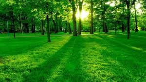 Sudah tentu ramai yang merindui keindahan flora dan fauna, ketenangan alam atau menikmati suasana hijau itu sendiri. Hidup Simple Luar Biasa Kehebatan Alam Semulajadi