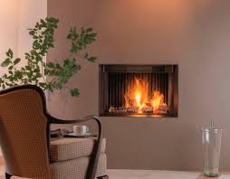 Pretty dangerous in a indoor wood burning appliance. Wood Burning Fireplace Phenix 95 Neo Green Bodart Gonay Contemporary Closed Hearth Built In