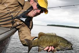 Check spelling or type a new query. Topwater Smallmouth Bass Fishing In Colorado