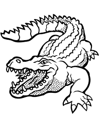 Krokodile Zum Ausmalen Ausmalbilder Krokodile Krokodil Malen Zeichenvorlagen Krokodil Zeichnen