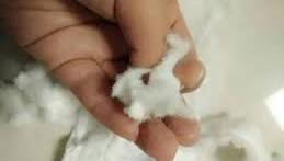 Treated Untreated USA Fluff Pulp For Diapers With SGS ...