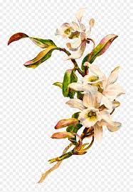 We did not find results for: Vintage Flower Clipart Vintage Cross Cross Clipart Transparent Background Stunning Free Transparent Png Clipart Images Free Download