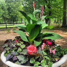Pin On Container Gardening