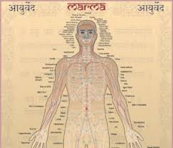 Shirodhara Marma Therapy Abhyanga Shanti Yoga And Ayurveda