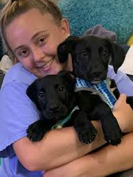 Does your lab drool when anticipating treats?