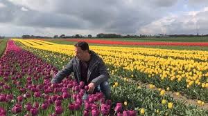 We did not find results for: Tulp Als Ideaal Relatiegeschenk Nieuwe Oogst