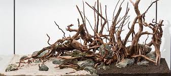 Aquascaping Analysis Project Ryuboku Scapefu Aquascape Hardscape Aquascape Aquarium