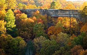 Kentucky By Heart When Communing With Nature Sometimes A Freight Train Really Is Just A Freight Train Kyforward Com Kyforward Com