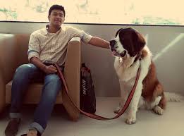 Lakya suryanarayana tejasvi (born 16 november 1990), better known as tejasvi surya, is an indian politician, rss swayamsevak and lawyer serving as the member of parliament in the 17th lok sabha. Tejasvi Surya Biography Wiki Age Family Native Place Profile Readme5minutes