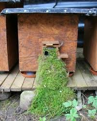 Hummeln Zur Besiedlung Anlocken Da Hummeln Bodennah Nach Lochern Suchen Kann Man Ein Bemoostes Brett Schrag An Das Hummelhaus Stel Hummeln Hummel Insektenhaus