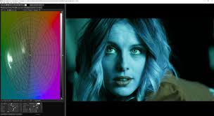 the meantime this happened: Cinema Grade