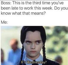 We did not find results for: Happy Hump Day Memebase Funny Memes