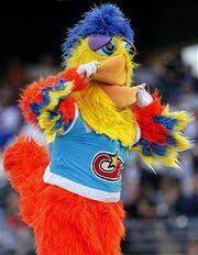 The San Diego Chicken S Still Kickin San Diego Chickens Chicken