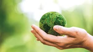 Environmental Health