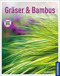 Niedere bambusse müssen immer zurückgeschnitten werde. Graser Und Bambus Mein Garten Gestalten Pflanzen Pflegen Richter Gabriele Amazon De Bucher