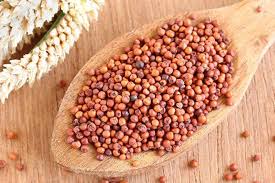 The soul is immortal and the human body is. Ragi In Hindi à¤° à¤— à¤• à¤¦ à¤¨ à¤° à¤— à¤• à¤« à¤¯à¤¦ Ragi Flour In Hindi Finger Millet In Hindi What Is Ragi In Hindi Ragi In Hindi Name à¤° à¤— à¤• à¤¹ à¤¦ à¤¨ à¤® à¤• à¤¯ à¤¹