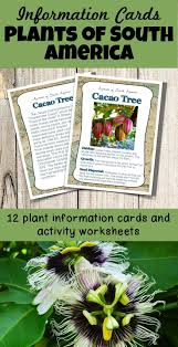 I found, at least in my department, that coworkers worked. A Great Set Of Vivid South American Plant Cards That Can Be Used In Continent Study Boxes Or Centers Or For A Unit South America Study Unit Pollinating Flowers
