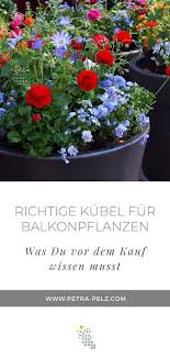 Fruhling Pflanzen Im Pflanzkubel Blumenkasten Blumentopfe Blumenkasten Bepflanzen Pflanzen Balkonkasten Bepflanzen