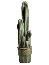 Fake Column Cactus Plant In Terra Cotta Pot 25 Cactus Plants Fake Cactus Fake Cactus Plants
