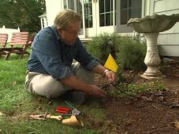 How To Design And Install Low Voltage Outdoor Lighting Youtube