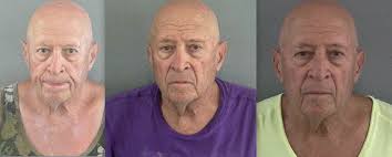 82-year-old Villager sentenced after series of arrests last year