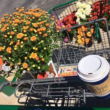 Sultana acme fresh market acme markets chophouse restaurant seedless fruit, fruites, food, grape, fruit png. Photos At Acme Fresh Market Ellet 2420 Wedgewood Dr