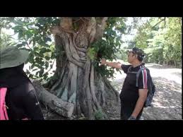 Akademi laut malaysia(alam) di kuala sungai baru. Speed Boat Trip Adventure Pulau Besar Melaka The Real Record Hd Youtube