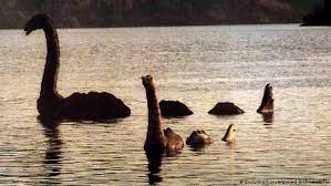 For over a century, tourists and monster hunters have been. Scotland S Loch Ness Monster Could Be Giant Eel News Dw 05 09 2019