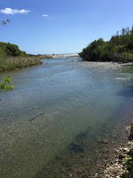 Andrew molera state park is a fabulous wildlife reserve because of its beach. Hiking Trails At Andrew Molera State Park In Big Sur