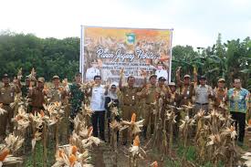 Ada dua jenis surat undangan yaitu surat undangan tidak resmi dan resmi. Tanam Perdana Padi Program Lahan Serasi Desa Sumber Makmur