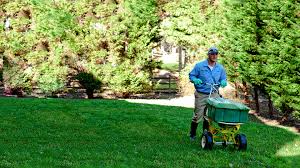 Best care.com coupon codes & deals. Lawn Care Weed Control Fayetteville Ar Spring Green