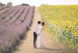 Check spelling or type a new query. Ting Kyle Destination Pre Wedding Session In Provence Chymo More Photography