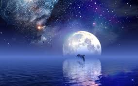 Download our android app now: Moonlight Wallpapers Group 81