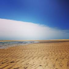 Banc D Arguin Cap Ferret