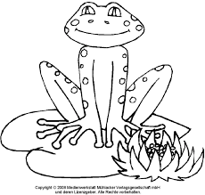 Ausmalbild Frosch 1 Medienwerkstatt Wissen C 2006 2017 Medienwerkstatt