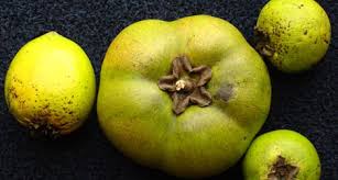 Check spelling or type a new query. All The Insane Australian Fruit You Can Eat Arts Culture Smithsonian Magazine